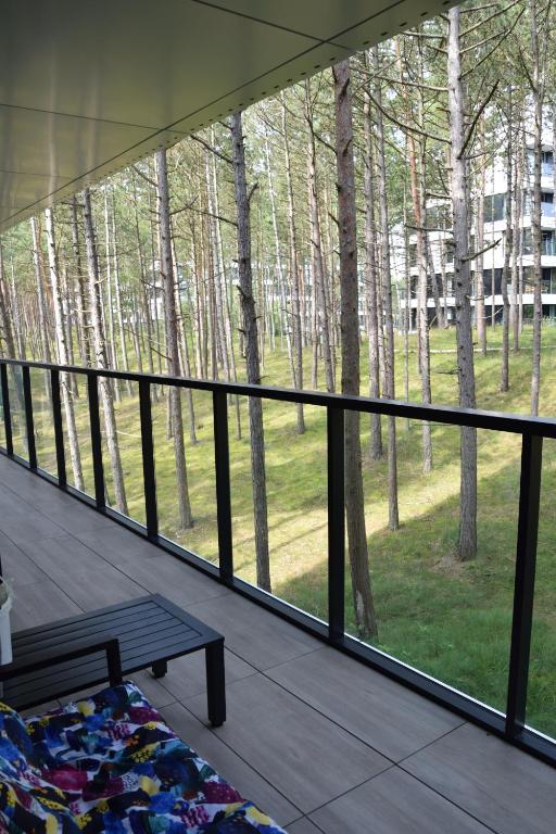 Taras apartamentu Sosnowy otoczony sosnami